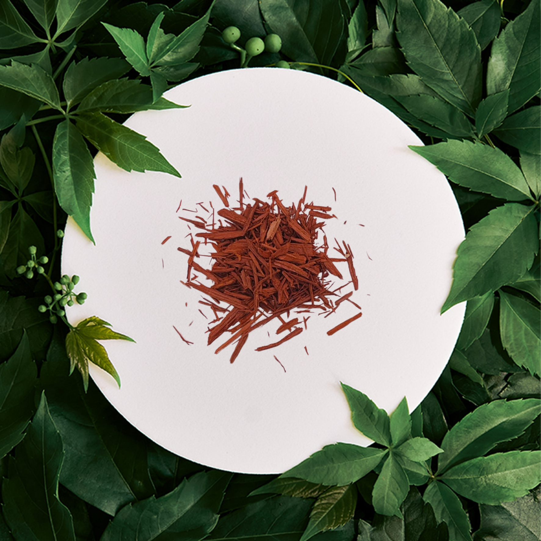 Cire parfumée Bois de Santal
