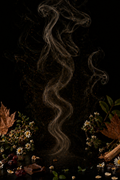 SIGNATURE MYSTÈRE