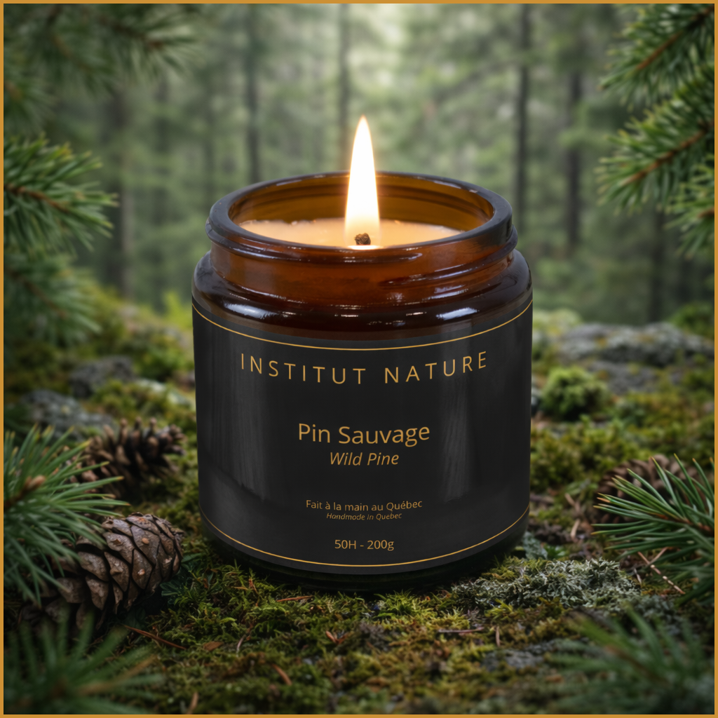 Bougie 200 g - Pin Sauvage