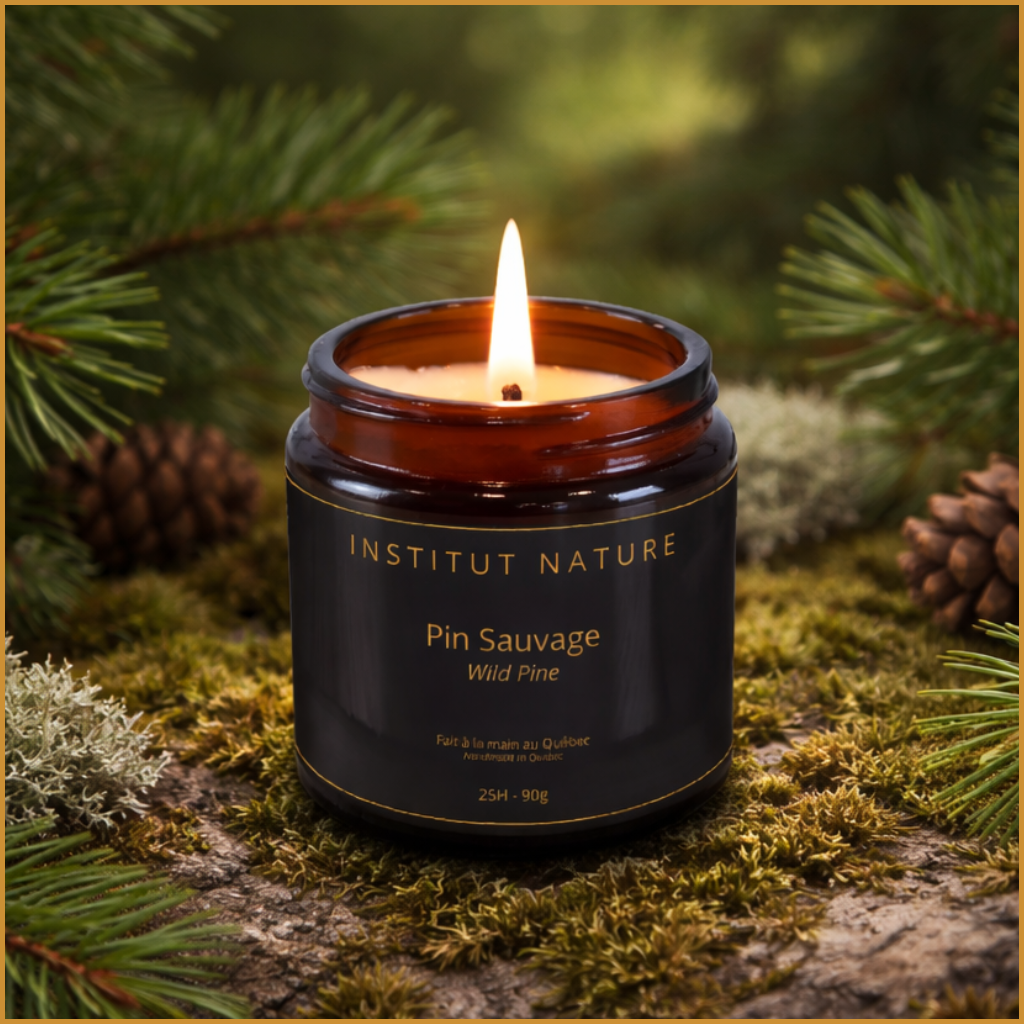 Bougie 90 g - Pin Sauvage