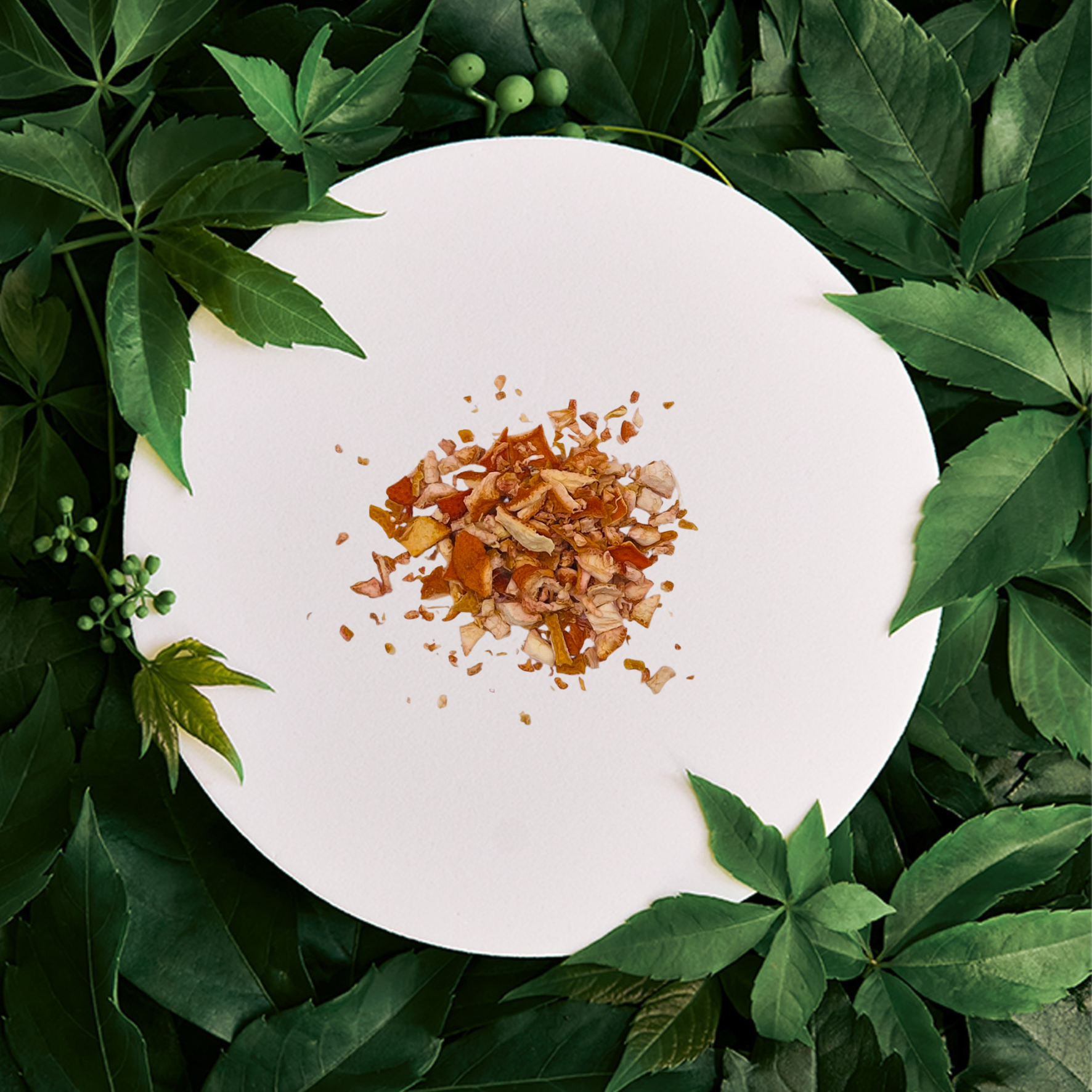 Cire parfumée Écorce & Zeste