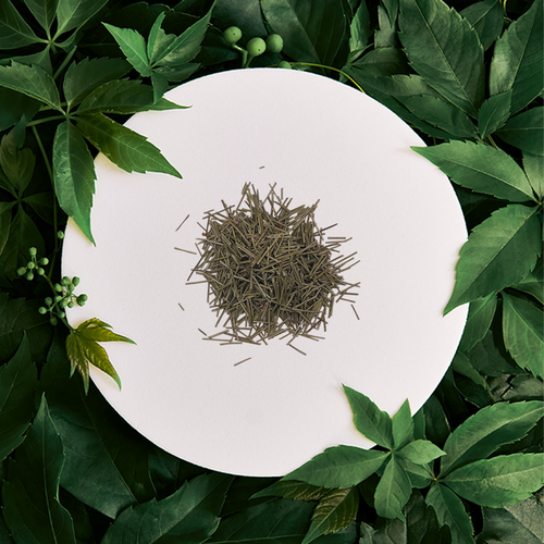 Cire parfumée Forêt Boréale