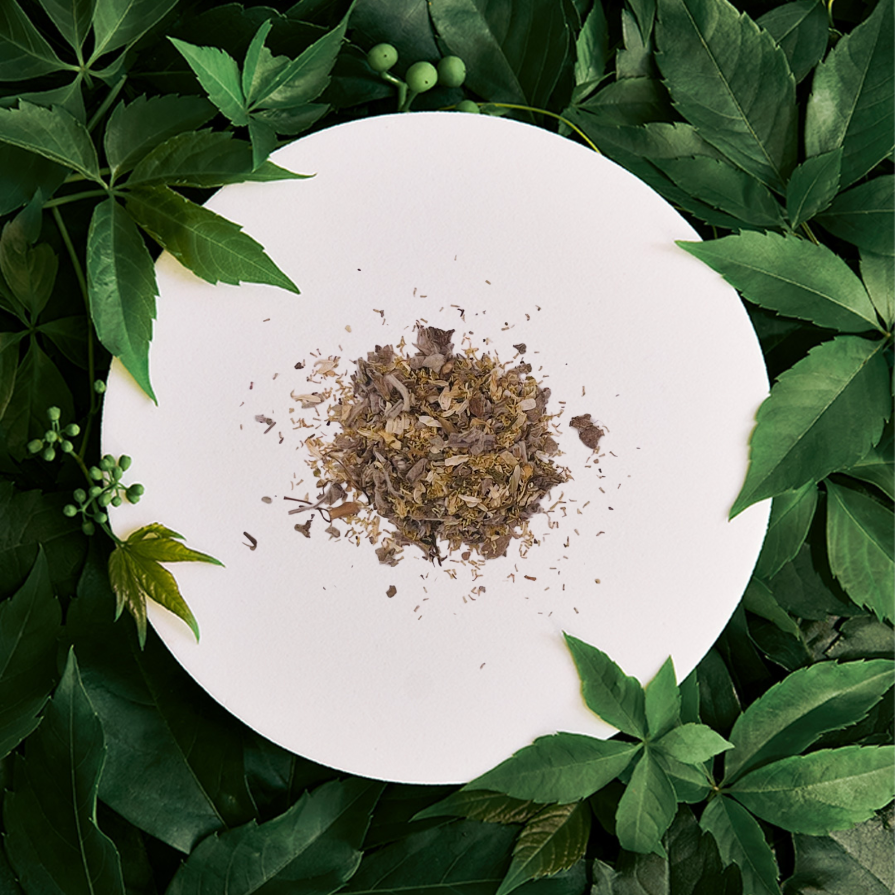 Cire parfumée Sauge & Camomille